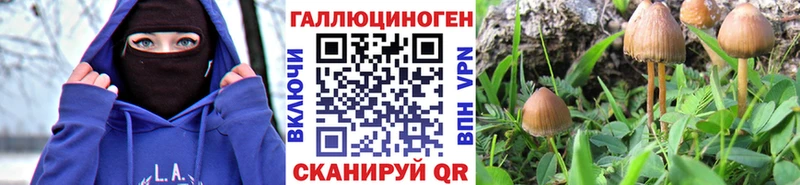 где продают Ленинск-Кузнецкий Псилоцибиновые грибы прущие грибы